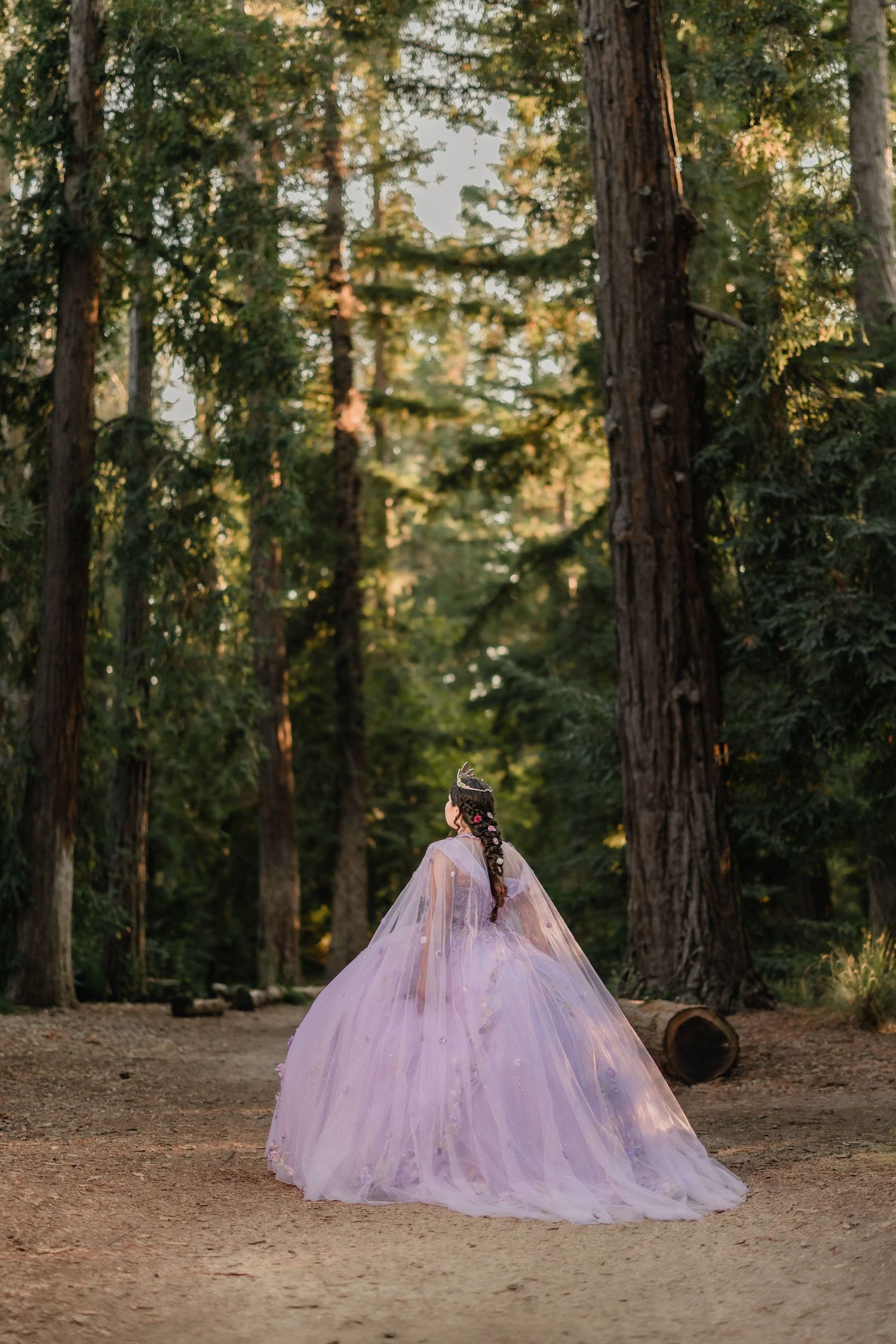 A lavender ballgown dress creates a stunning silhouette against a wooded forest backdrop in golden evening light.