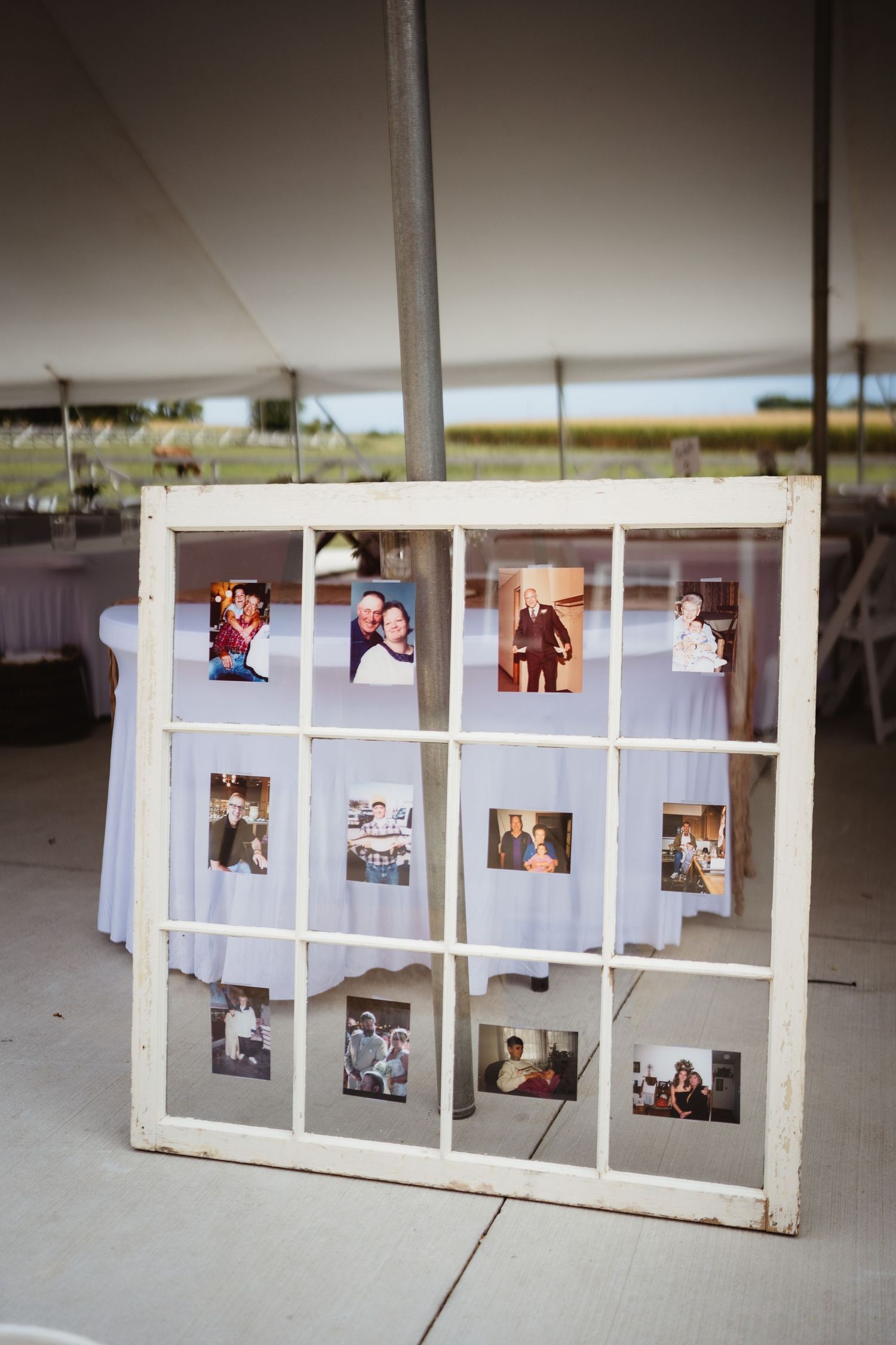 A DIY photo display made from vintage window frames with photographs arranged inside on white fabric.