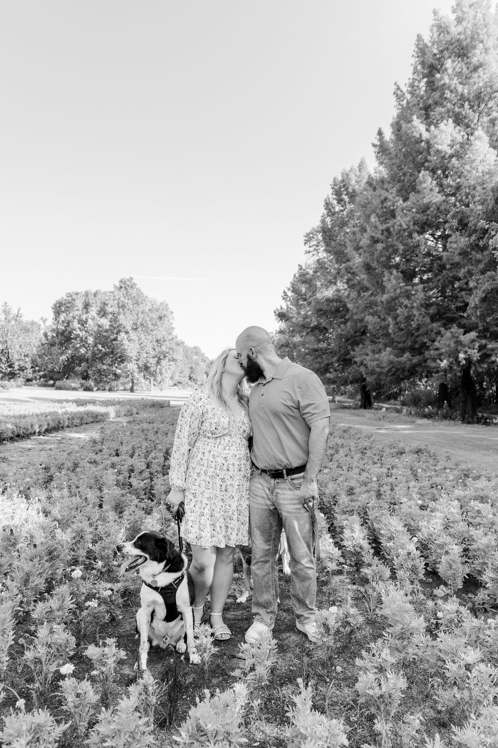 Romantic rose garden proposal at Fort Worth Botanical Gardens