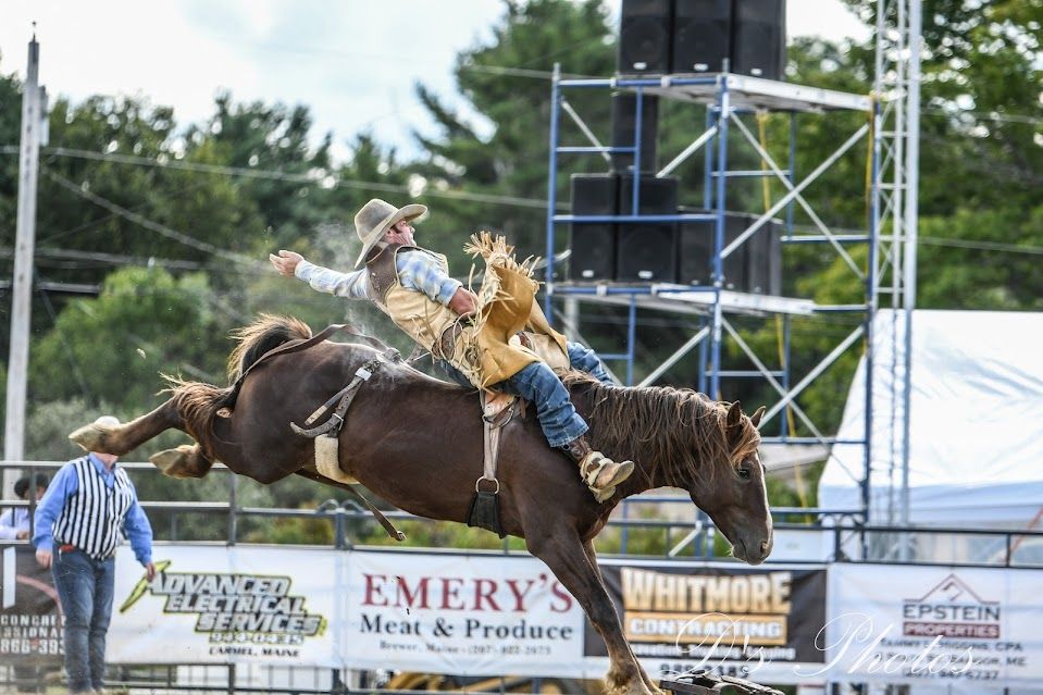 Bronc Riding
