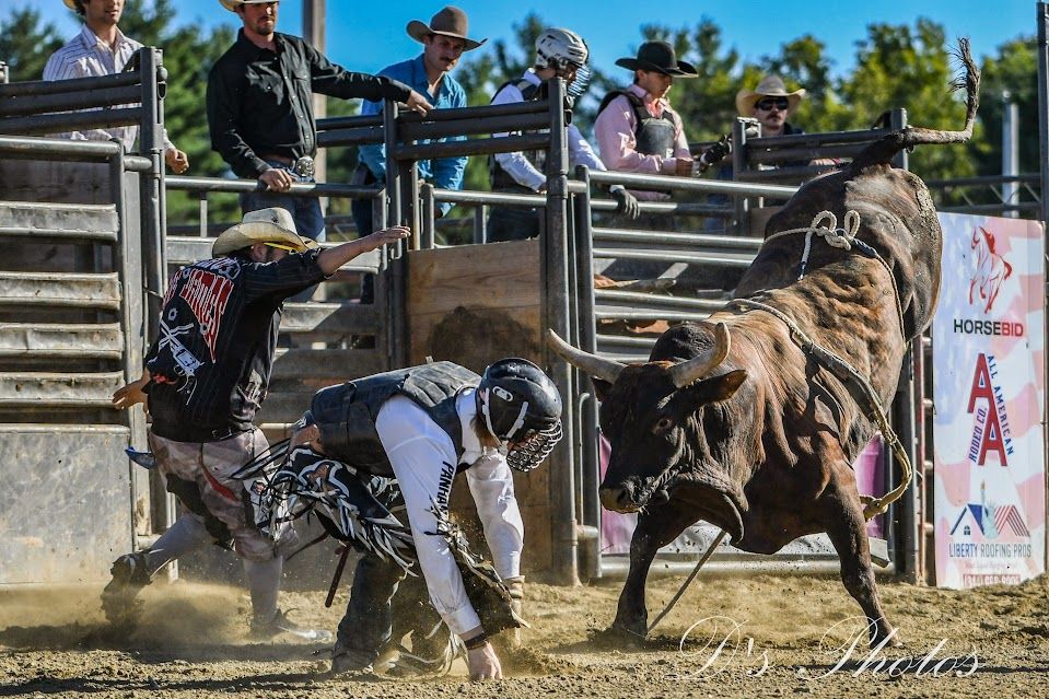 Rodeo/ Bull riding