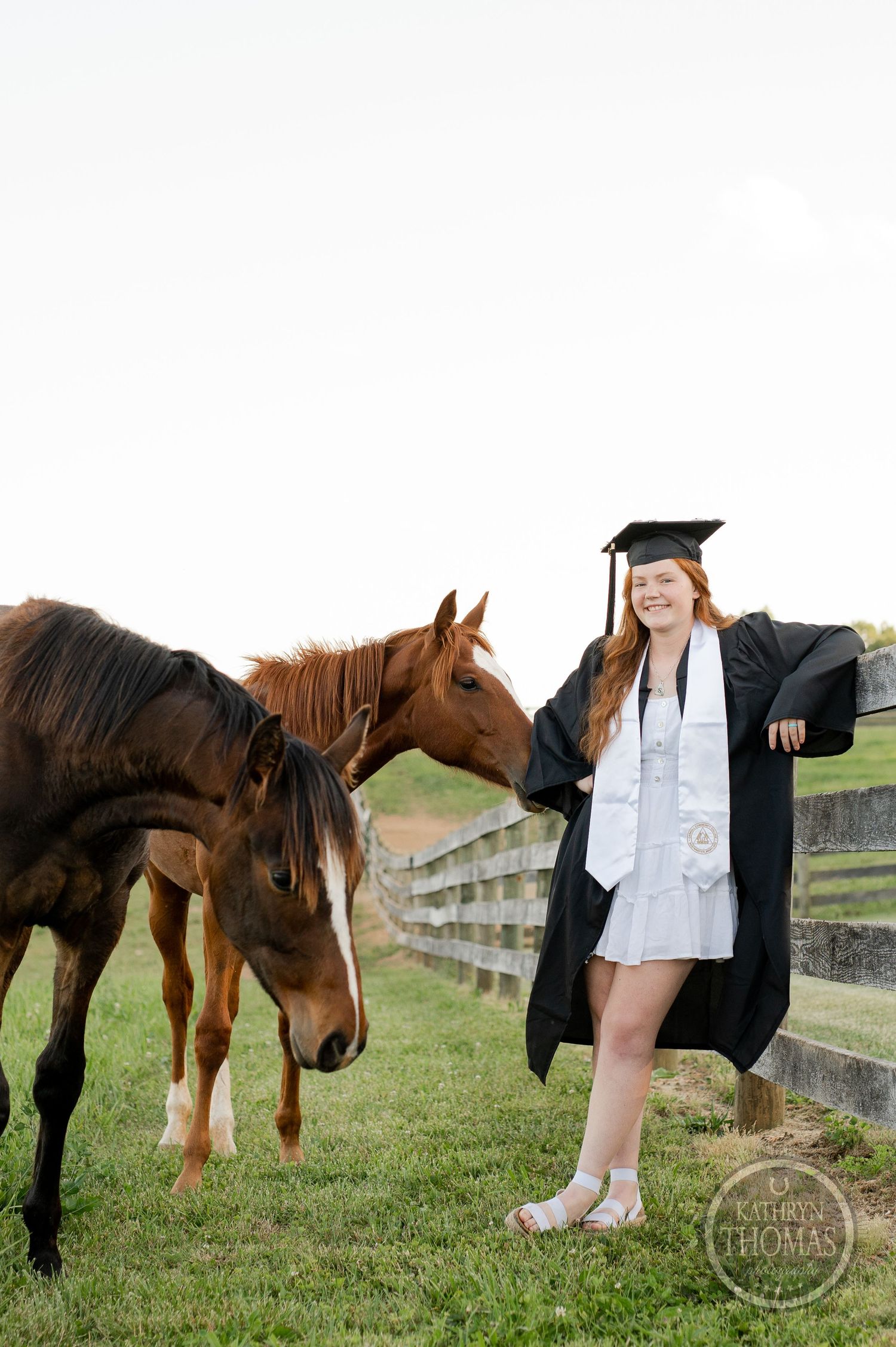 Graduate in academic regalia stands by wooden fence with two friendly horses in grassy field.