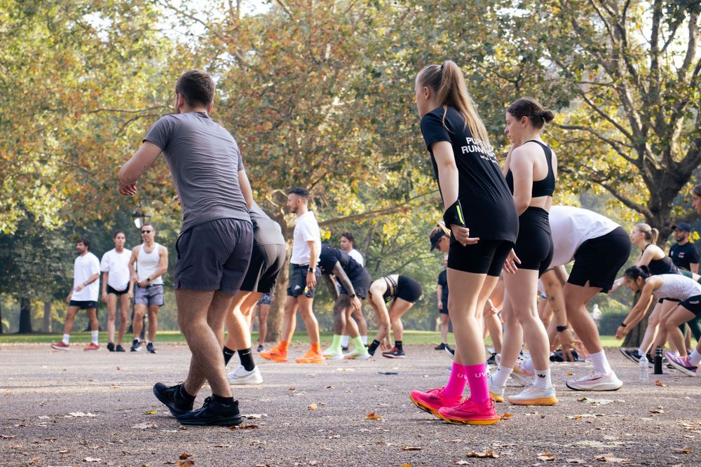 Group of people stretching and exercising together outdoors in a park setting.