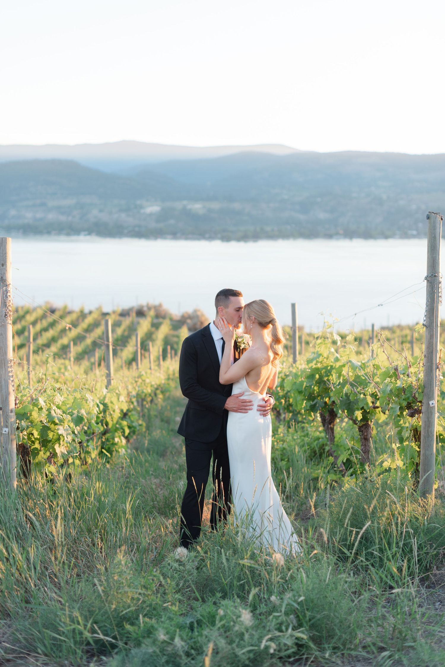 Couple embraces in romantic moment at sunset among vineyard rows overlooking scenic lake and mountains.