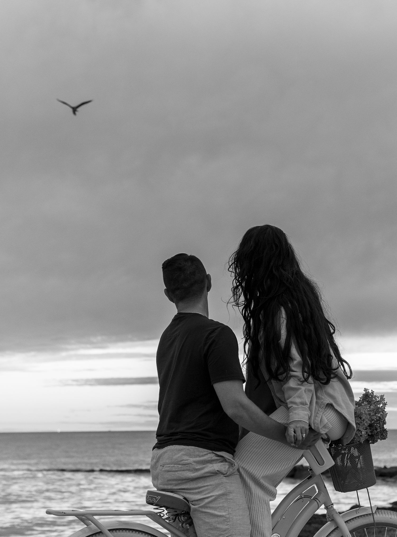 Silhouetted couple sitting on bicycles watching a bird fly into sunset over ocean in black and white photo in Cape Cod, Massachusetts.
