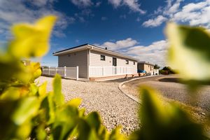 Holiday lodges viewed through yellow flowers with blue sky and white clouds.