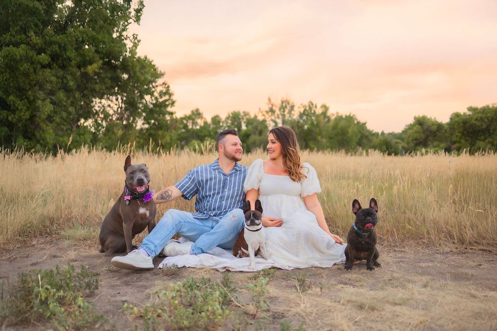 Couple sitting on blanket at sunset in field with three dogs, sharing a romantic outdoor picnic moment.