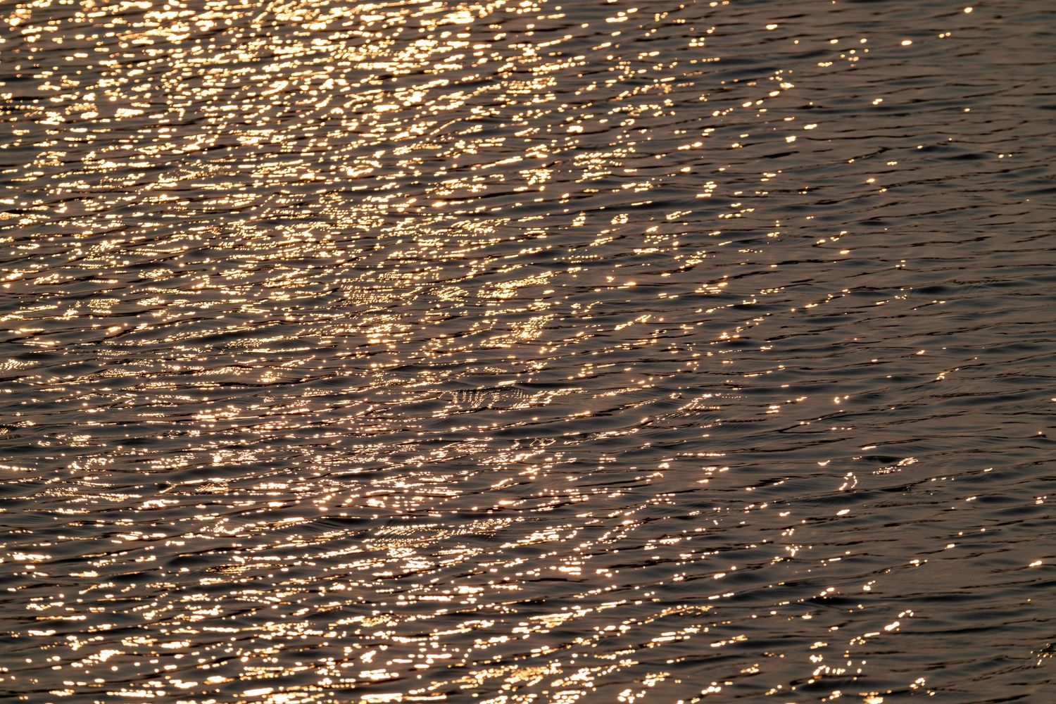 Golden sunlight sparkles and reflects off rippling water surface creating a shimmering pattern at sunset.