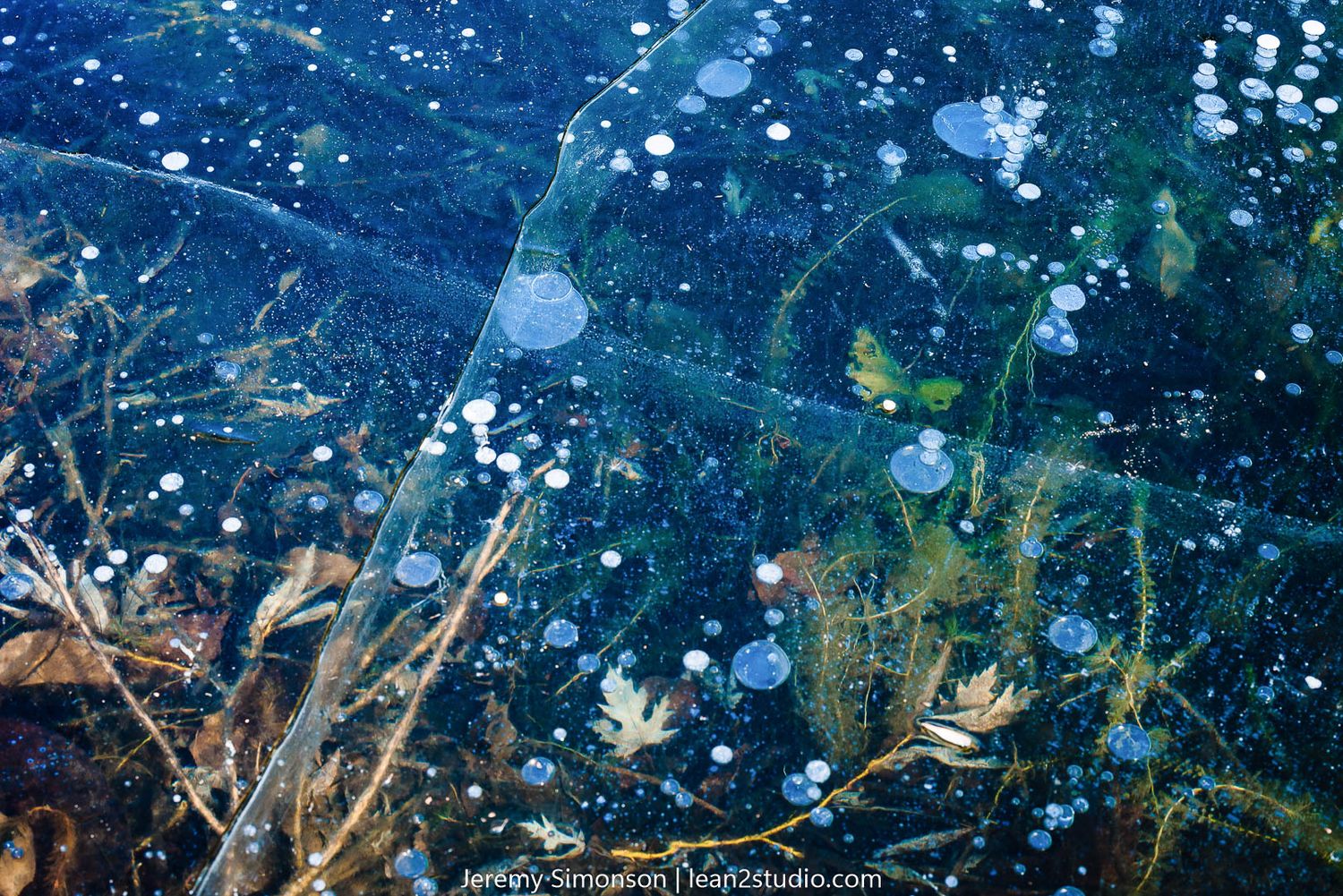 Ice bubbles and plant matter frozen in translucent blue winter lake surface.