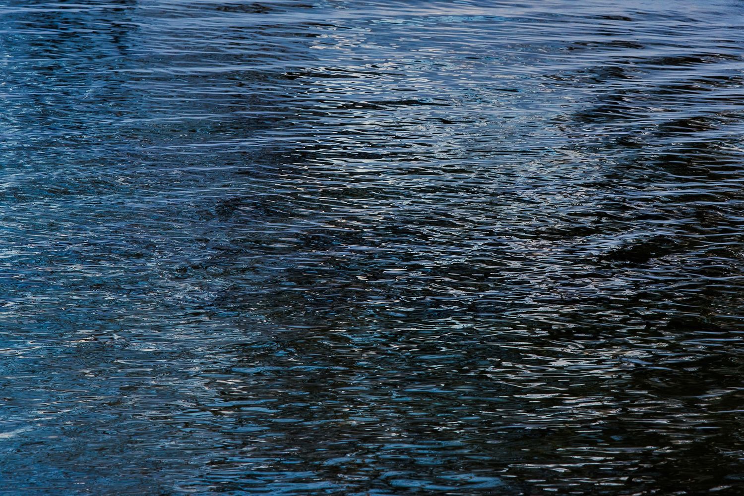 Dark rippling water surface with blue reflections and wave patterns creating an abstract aquatic texture.