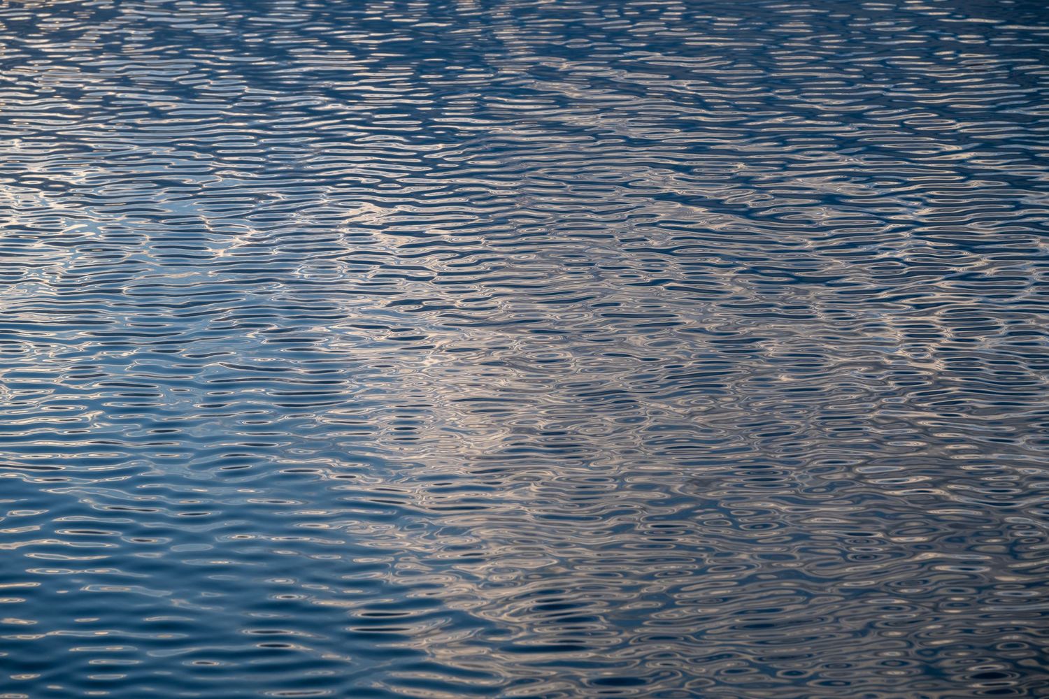 Rippling blue water surface creates mesmerizing patterns of light and shadow reflections.
