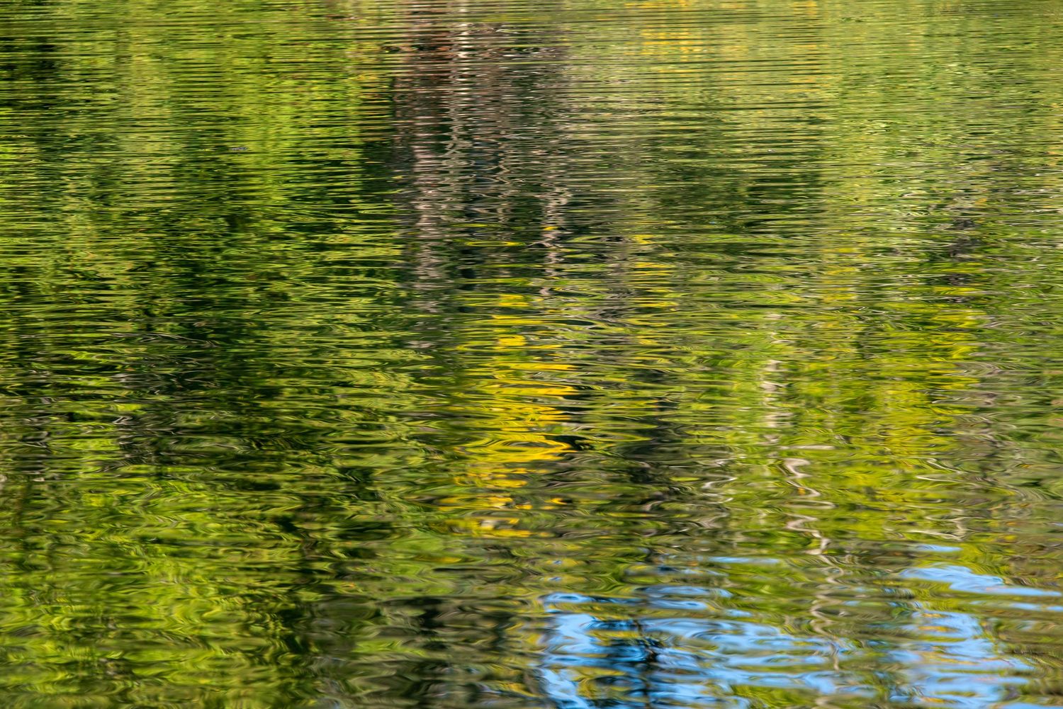 Abstract water reflection of trees creating a green and yellow pattern on the calm lake surface.