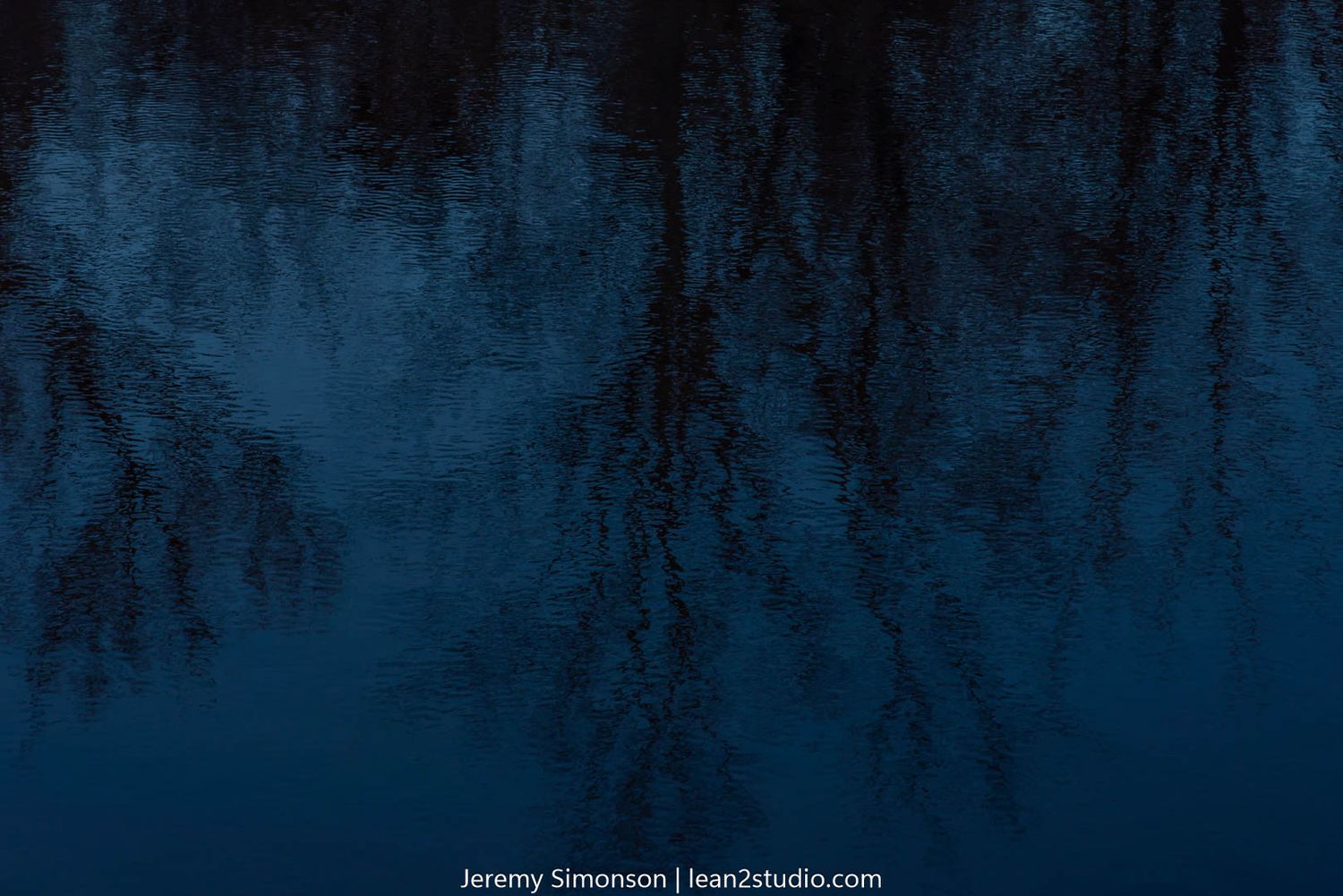 Dark water surface reflecting silhouetted tree branches against a deep blue background.