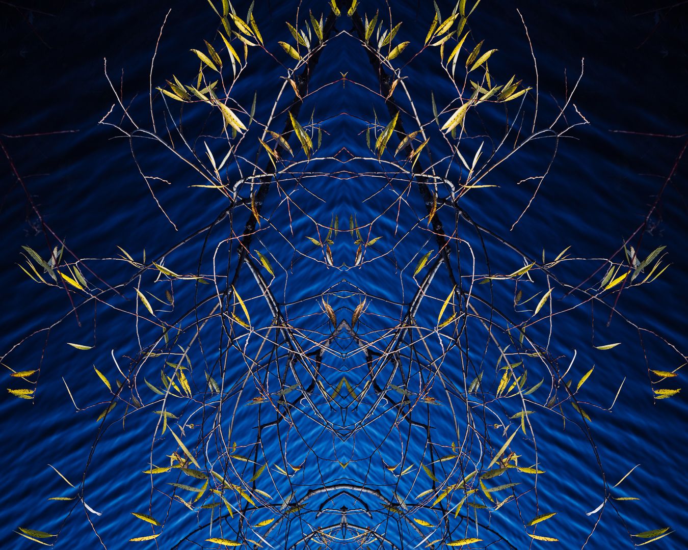 Abstract blue and gold kaleidoscopic pattern with spiky geometric shapes radiating outward against dark background.