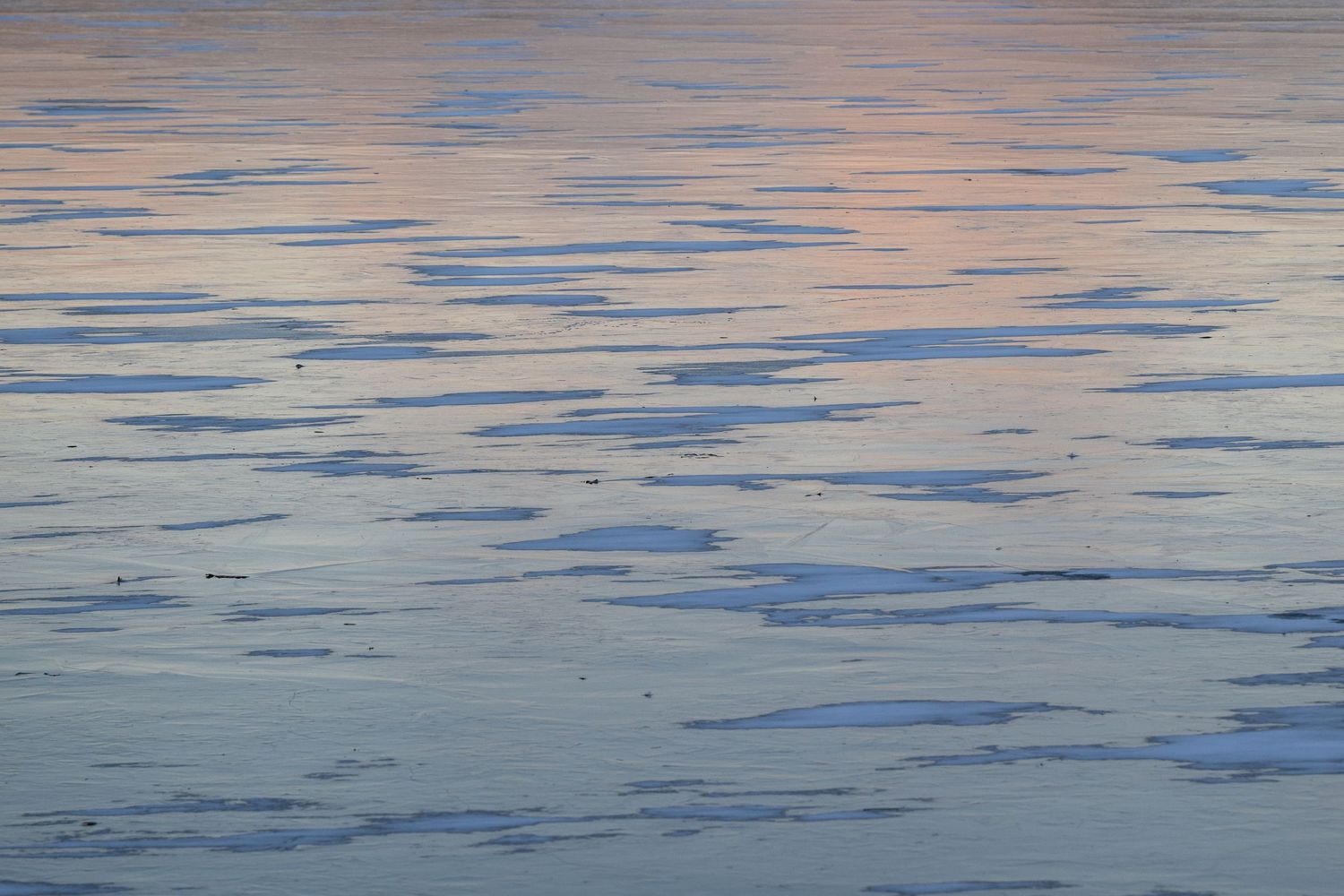 Tranquil water surface reflecting soft pink and blue sunset colors in gentle ripples.