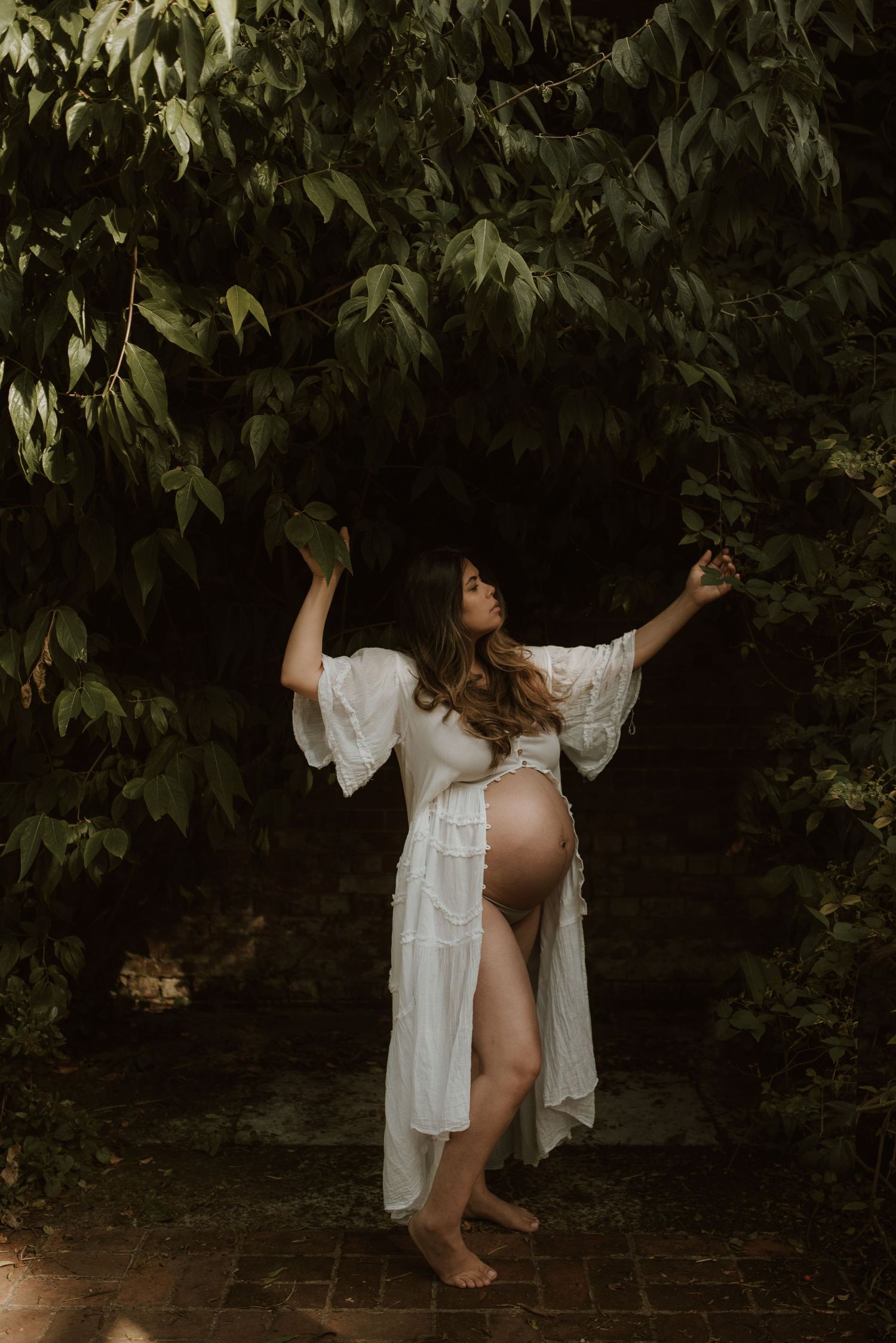 Maternity - Autumn Wild