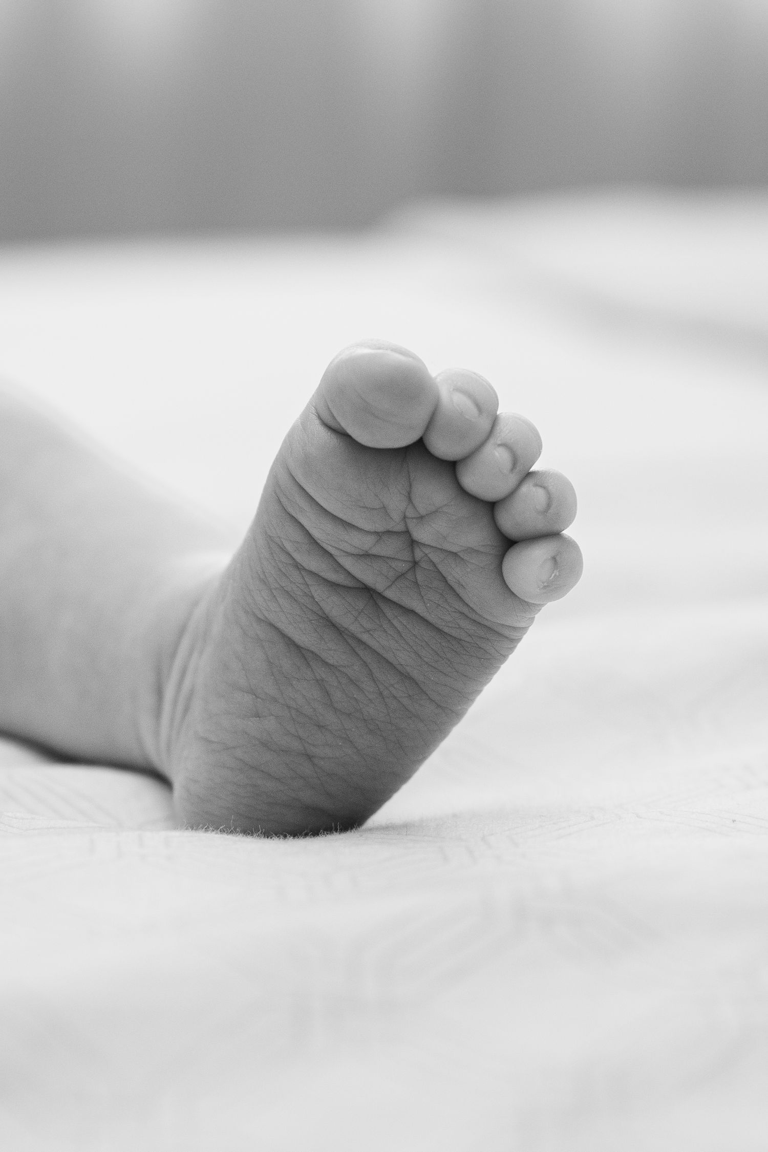 Newborn and maternity photoshoot investments packages pricing Johannesburg Gauteng South Africa lifestyle photographer