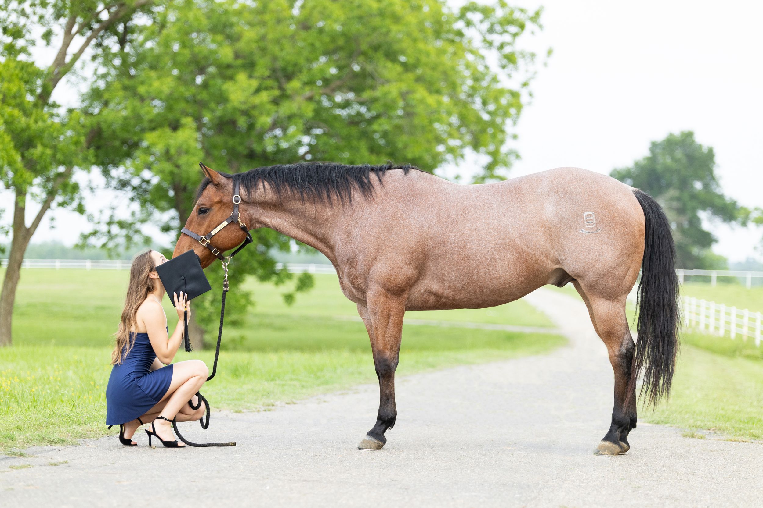 college graduate holding graduation cap up to cover her kissing her horse, East Texas A&M University, senior portraits, Commerce, TX
