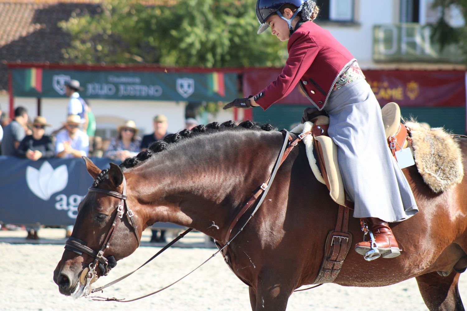 Working Equitation
