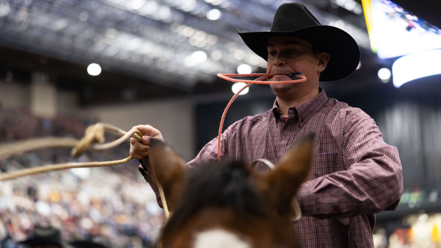Cowboys compete in various rodeo events from bull riding to roping at a professional western sports competition.