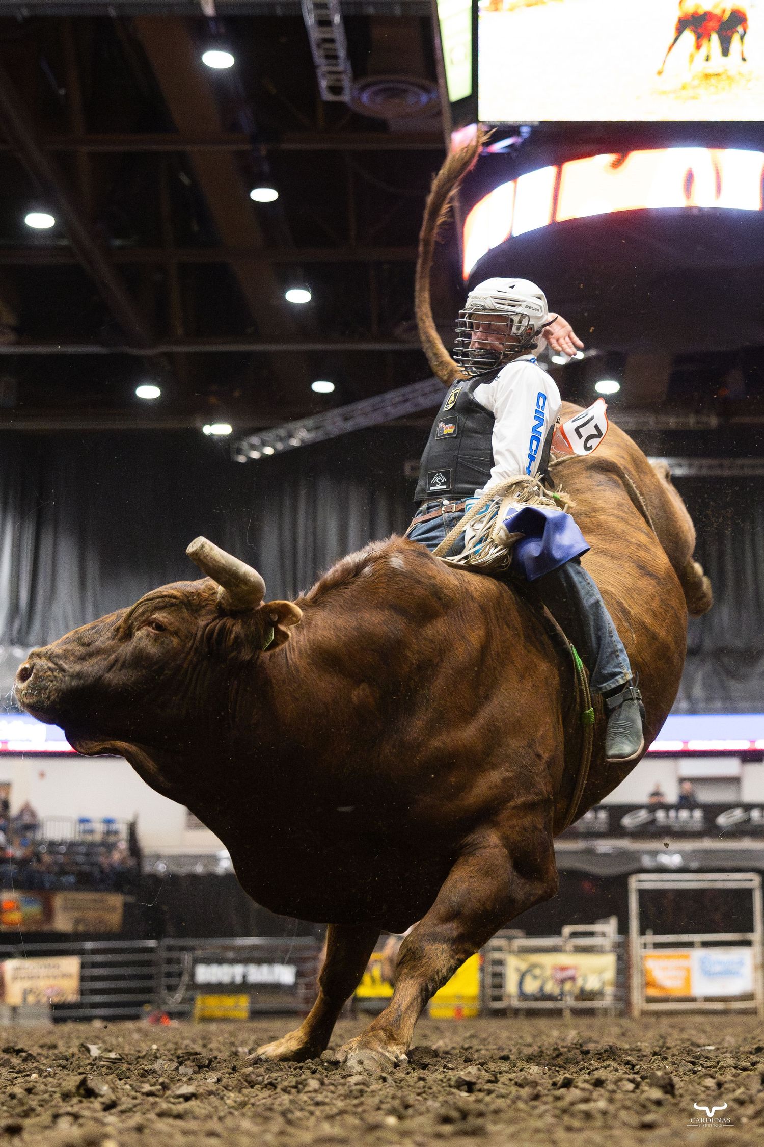 A sequence of action shots showing a bull rider being thrown from a bucking bull during a rodeo competition.