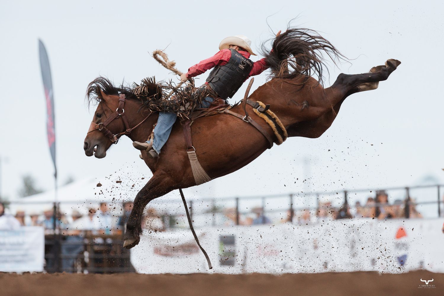 A rodeo rider on a bucking bronco horse leaps high into the air during a dramatic competition performance.