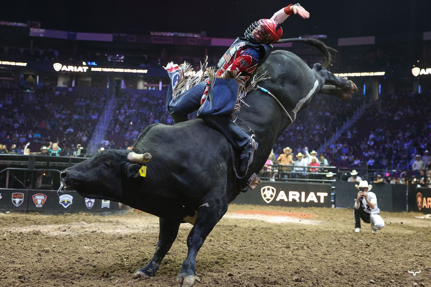 Bull rider attempts to stay mounted during intense professional rodeo competition as the bull bucks and spins in the arena.