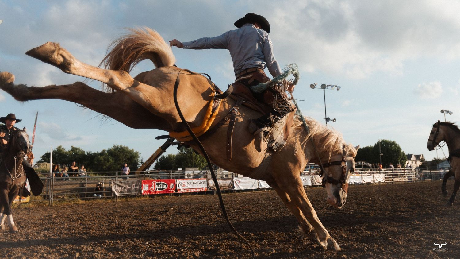 A cowboy rides a bucking palomino horse at a rodeo competition in an outdoor dirt arena.