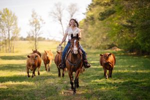 A horse rider is herding three brown cattle across a sunlit meadow near a treeline on a beautiful spring day.