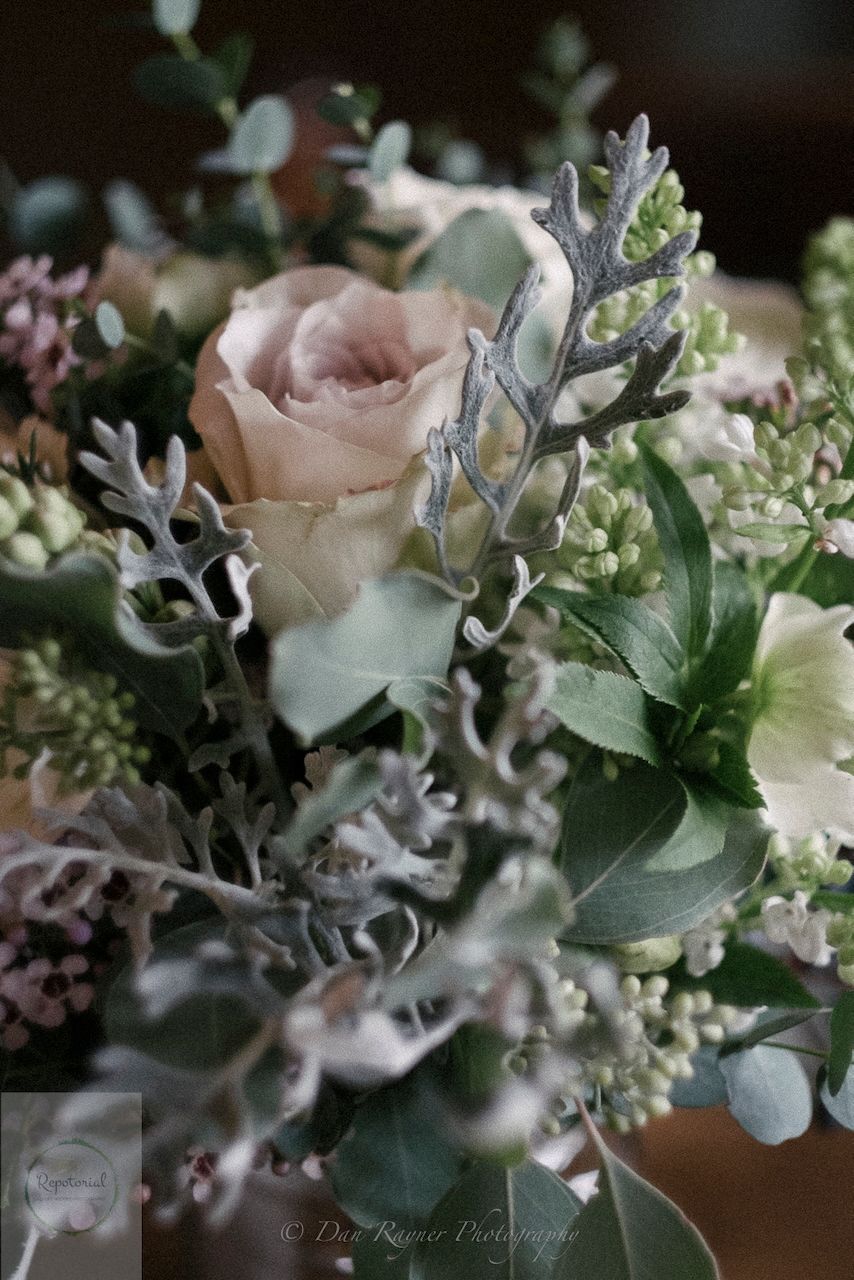Reportage detail shot of flowers
