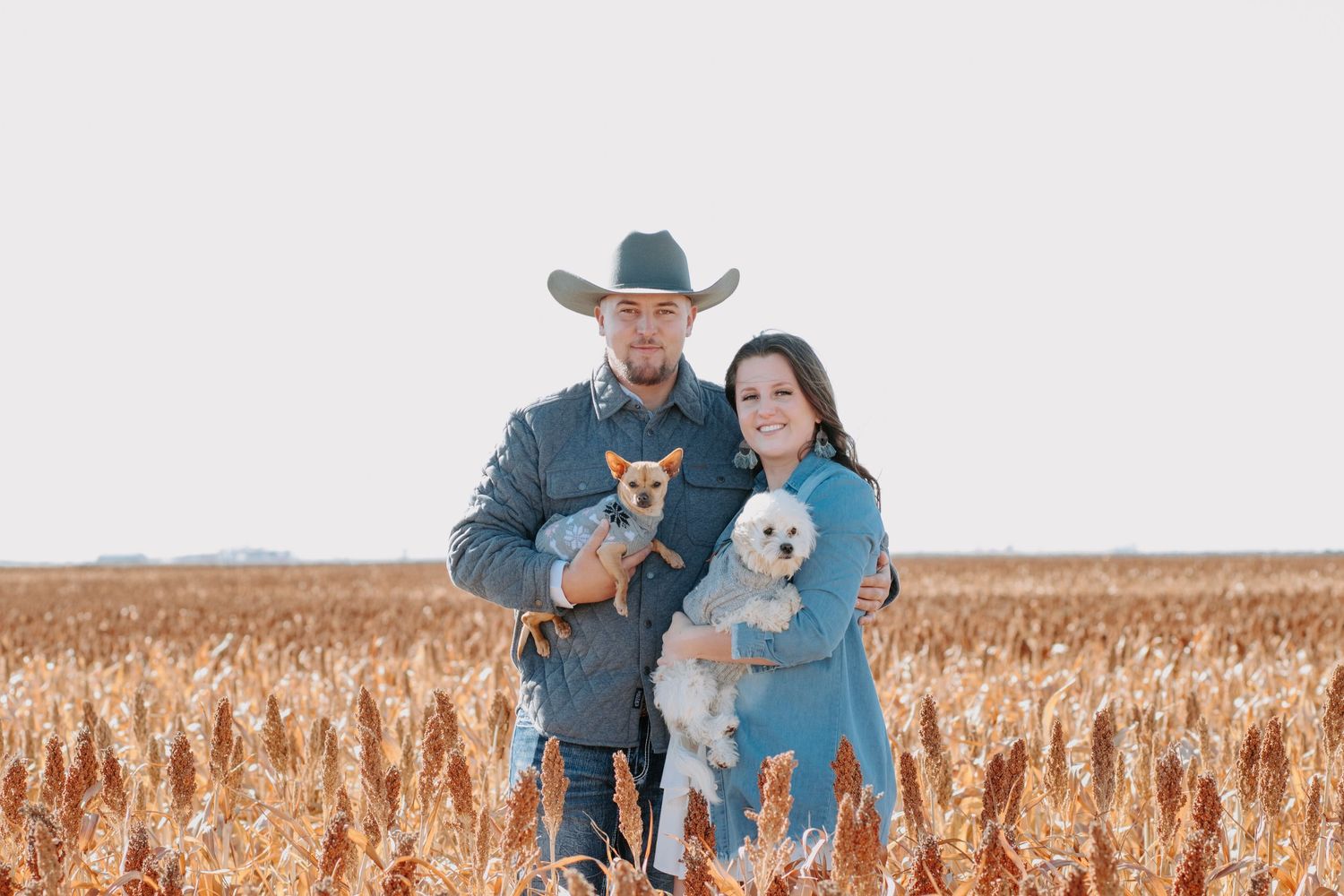 Couple holding small dogs in golden wheat field, man in cowboy hat and woman in blue dress, outdoor portrait.