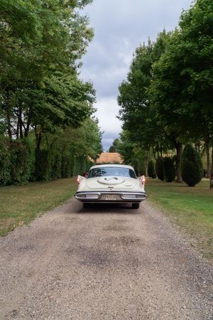 Vintage white classic car driving down a tree-lined gravel driveway at a wedding venue.