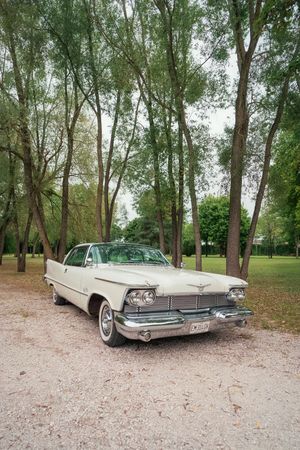 Vintage cream-colored classic car parked on a gravel path surrounded by tall trees in a park setting.