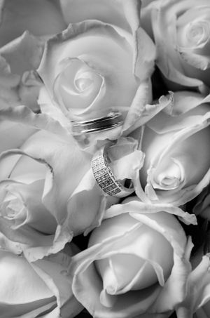 Delicate white roses with wedding rings nestled among the petals.