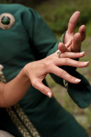 Close-up series of hands in dark clothing interacting with a small insect in natural outdoor lighting.