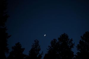 A crescent moon hangs in a deep blue night sky above dark treeline silhouettes.