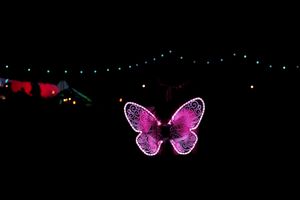 Purple butterfly lights glowing against a dark night sky.