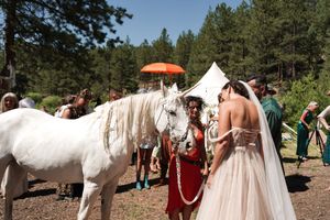 A white horse decorated with unicorn accessories stands in a sunny forest clearing during a celebration.