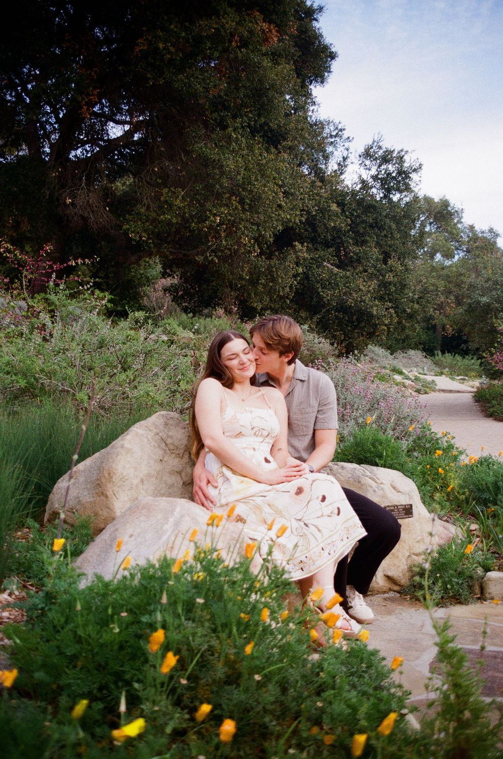 A man and woman kiss in the redwood trees in Santa Barbara Botanic Gardens for engagement photography