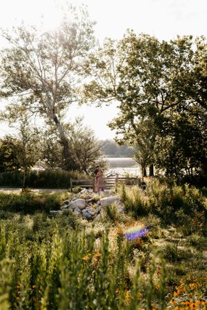 Garden path with wildflowers and trees glowing in golden evening sunlight.