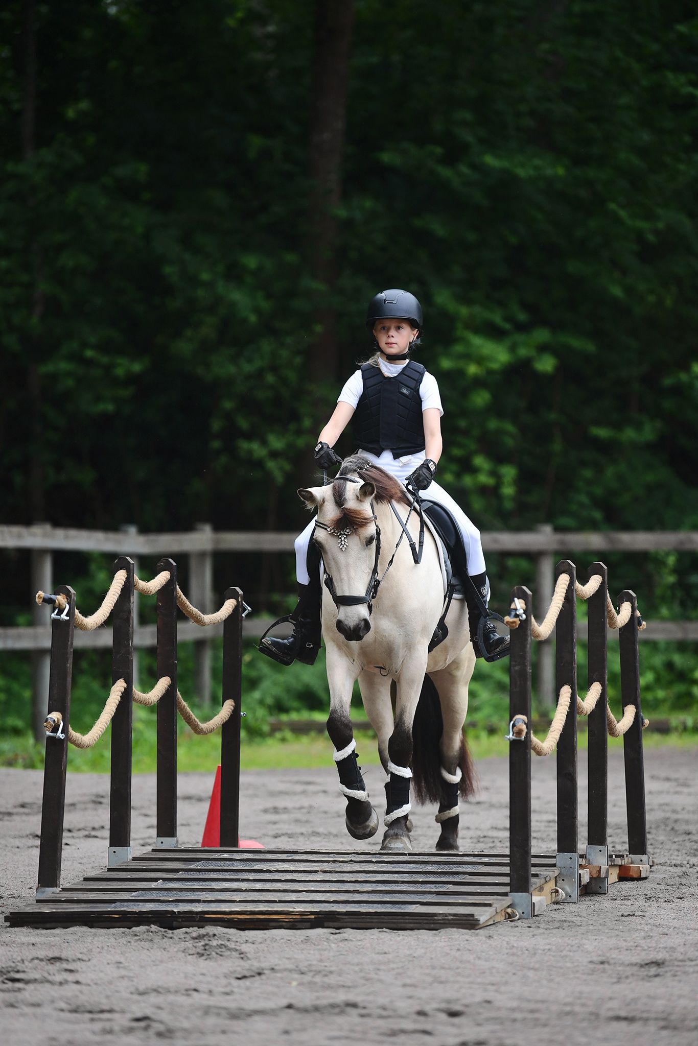 WE, horse, sport