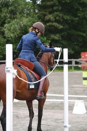 WE, horse, sport