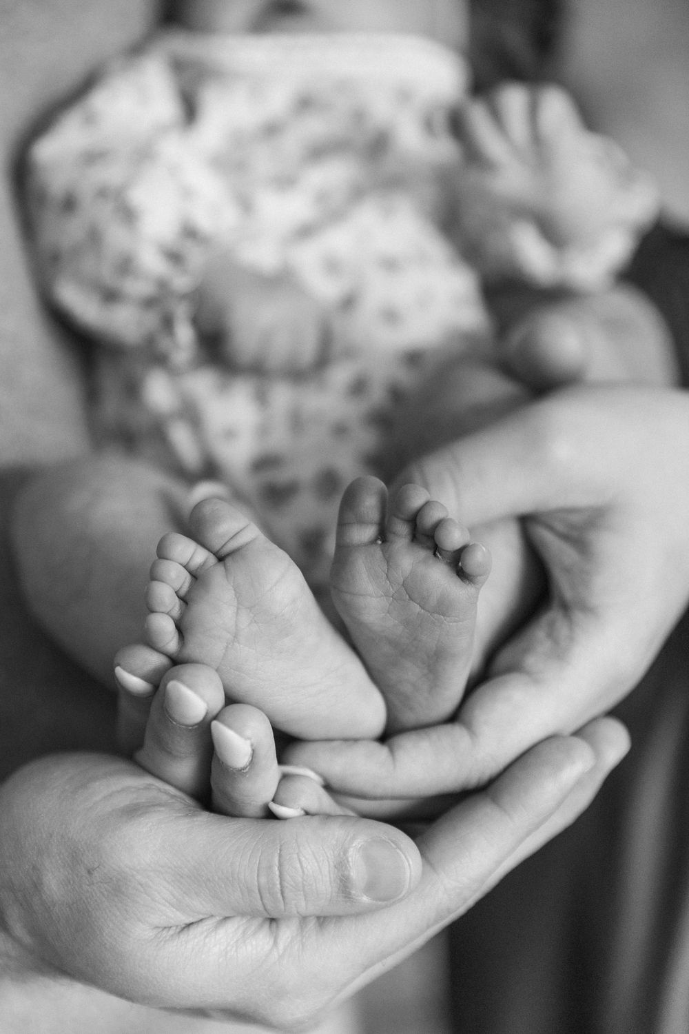 Black and white close-up of newborn baby tiny feet cradled gently in parents hands.