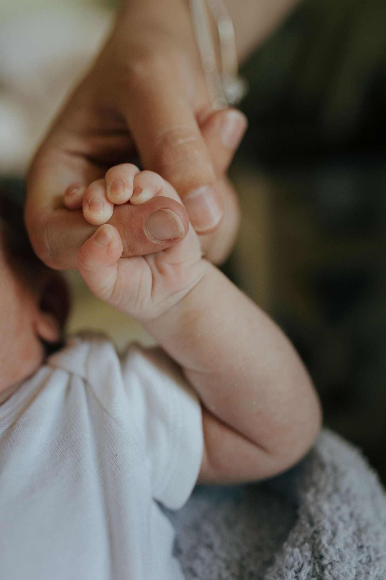 Close-up macro shot of a baby's tiny hand being held by an adult hand against a white and grey background.