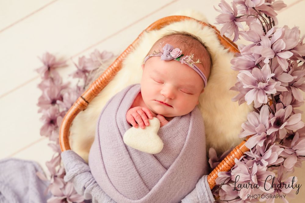 Sheffield studio Photographer. Studio shoot. Newborn shoot
newborn only. purple backdrop