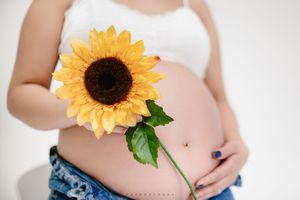 Four connected images show a pregnant woman's growing belly with a sunflower at different stages of pregnancy.
