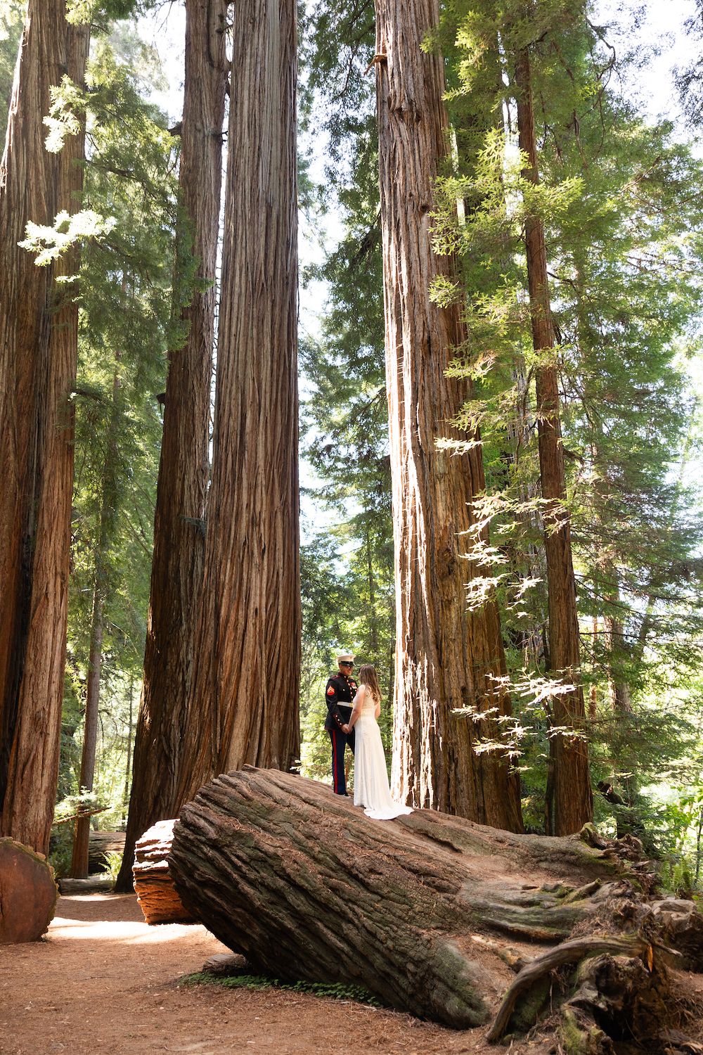 Bride and groom stand among towering redwood trees in a lush forest wedding ceremony.