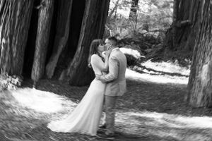 Black and white photo of a couple sharing a romantic kiss among tall redwood trees.