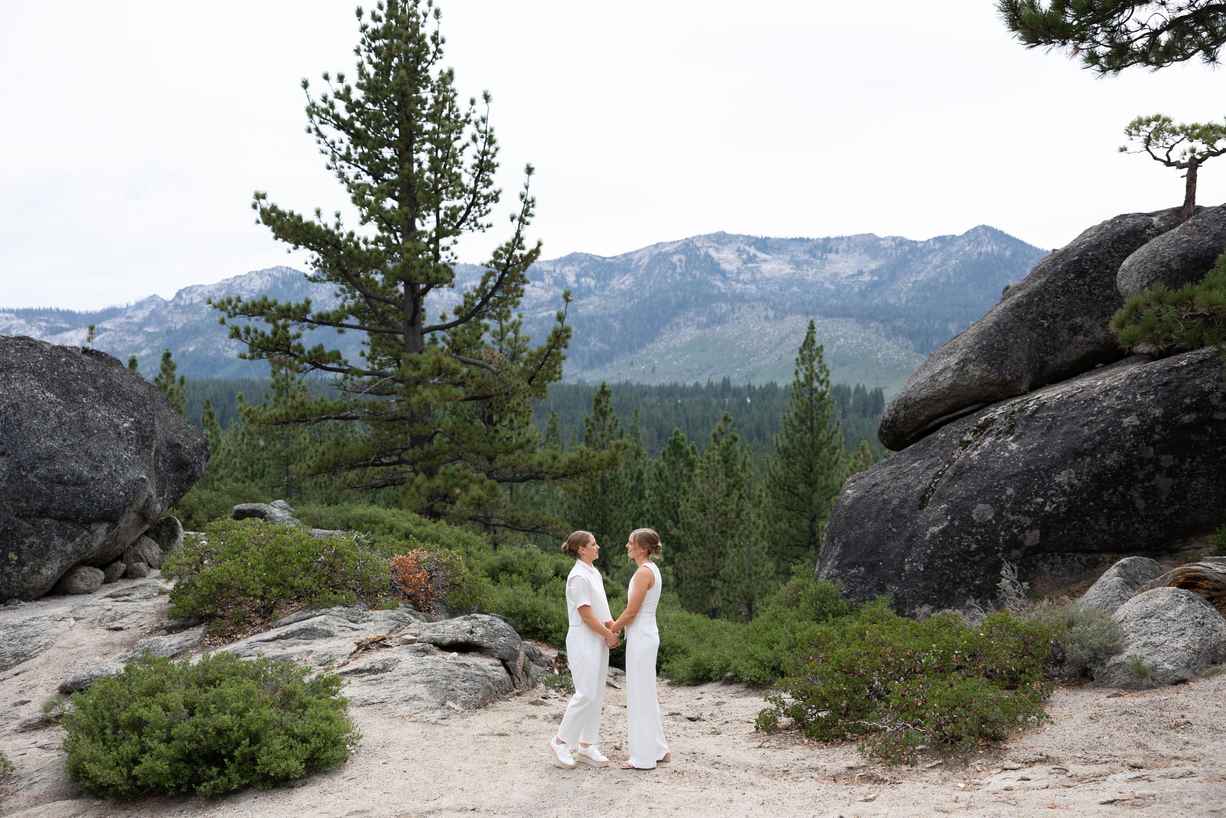 Two brides in white stand hand-in-hand on a rocky mountain landscape surrounded by pine trees.
