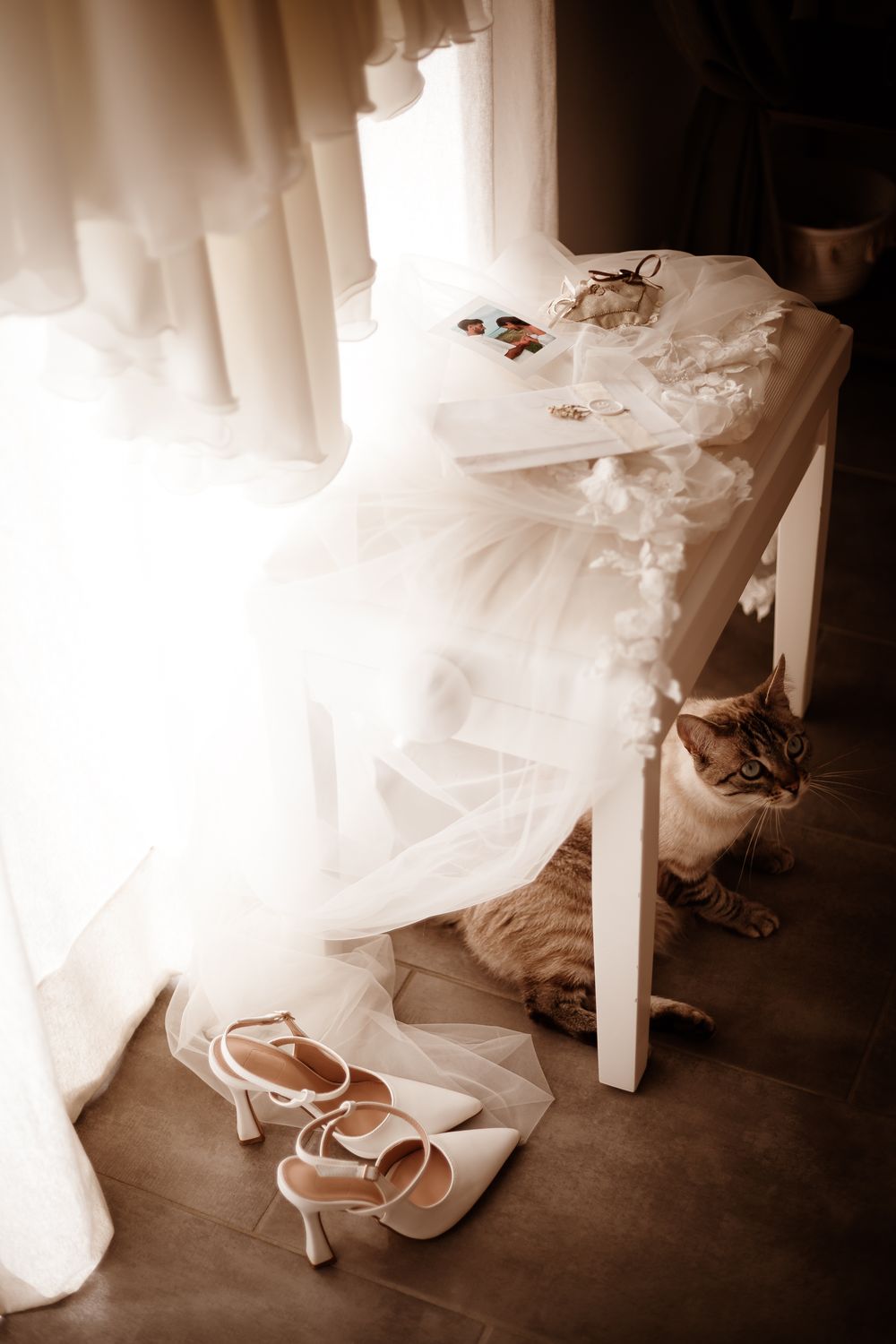 Photographe Mariage Bretagne